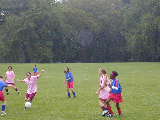 Click to see P9230068.JPG